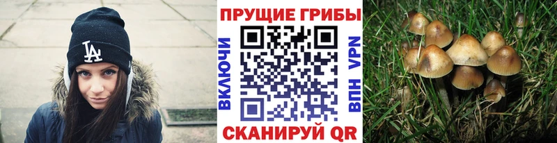 Галлюциногенные грибы Magic Shrooms  Старица 